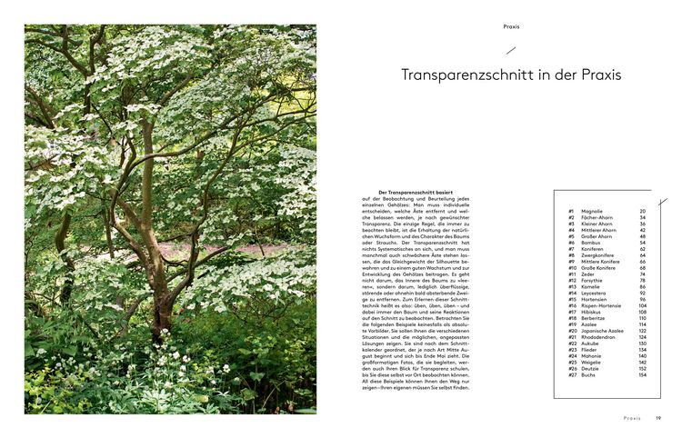 Produktbild: Transparenzschnitt