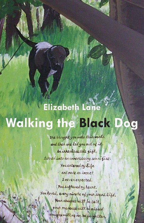 Produktbild: Walking the Black Dog