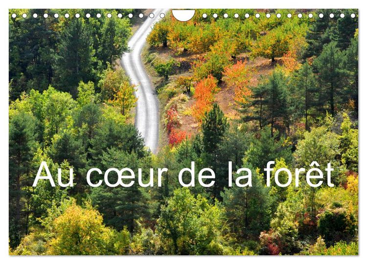 Produktbild: Au c&oelig;ur de la for&ecirc;t (Calendrier mural 2026 DIN A4 vertical), CALVENDO calendrier mensuel