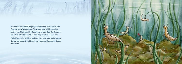 Produktbild: Von Larven und Libellen. Bilderbuch