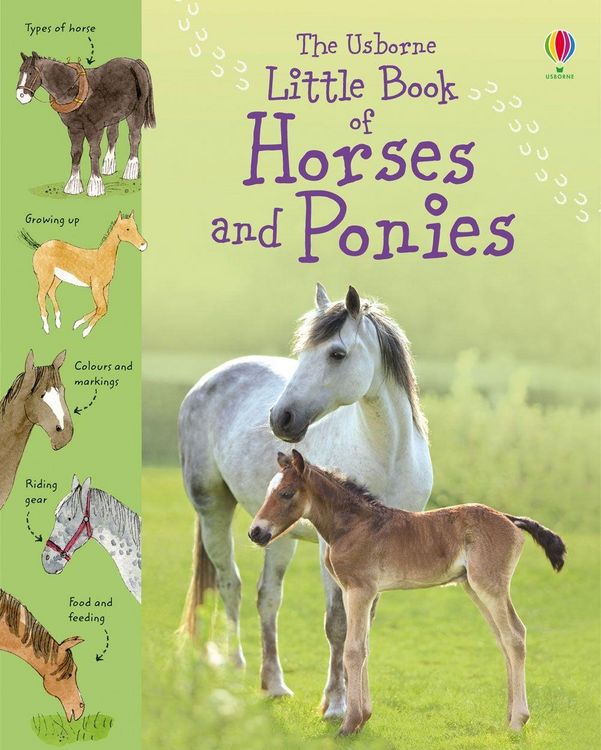 Produktbild: Little Book of Horses and Ponies