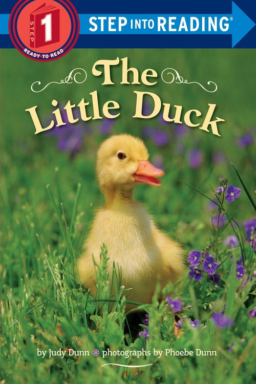 Produktbild: The Little Duck