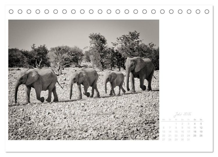 Produktbild: Elefanten in Etosha (Tischkalender 2026 DIN A5 quer), CALVENDO Monatskalender