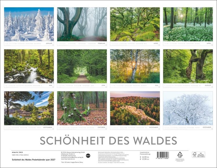 Produktbild: Sch&ouml;nheit des Waldes Posterkalender 2027