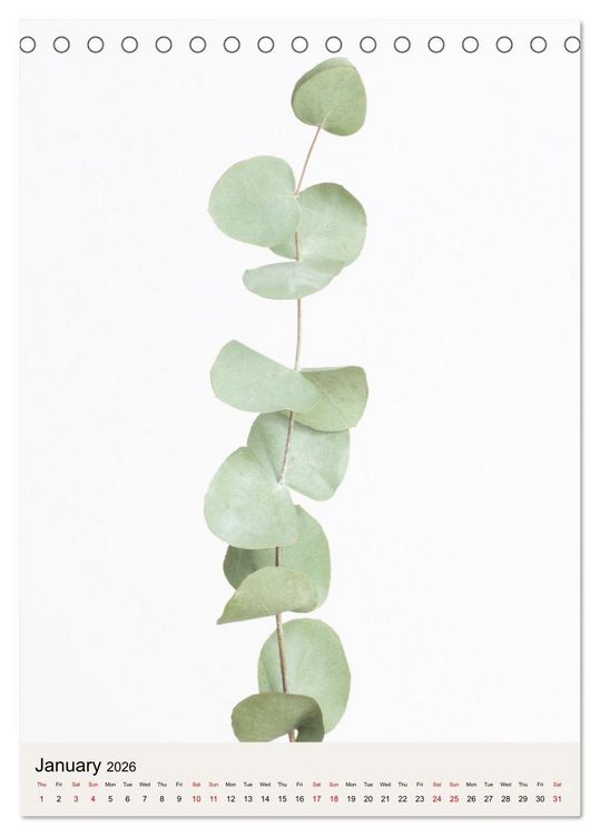 Produktbild: Dried Flowers (Desk Calendar 2026 DIN A5 portrait), CALVENDO 12 Month DeskCalendar