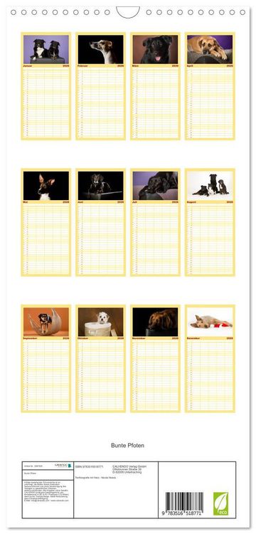 Produktbild: Familienplaner 2026 - Bunte Pfoten mit 5 Spalten (Wandkalender, 21 x 45 cm) CALVENDO