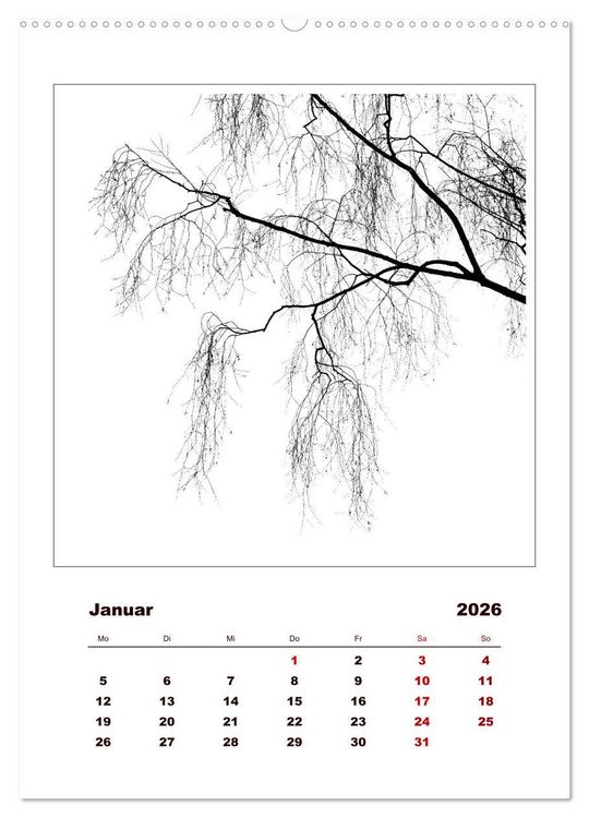 Produktbild: LignoGrafica - Muster und Strukturen der B&auml;ume (Wandkalender 2026 DIN A2 hoch), CALVENDO Monatskalender