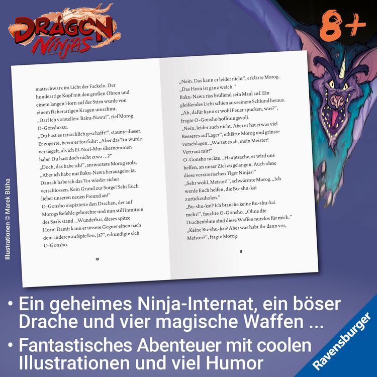 Produktbild: Dragon Ninjas, Band 5 - Der Drache der Schatten