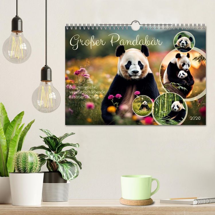 Produktbild: Gro&szlig;er Pandab&auml;r (Wandkalender 2026 DIN A4 quer), CALVENDO Monatskalender