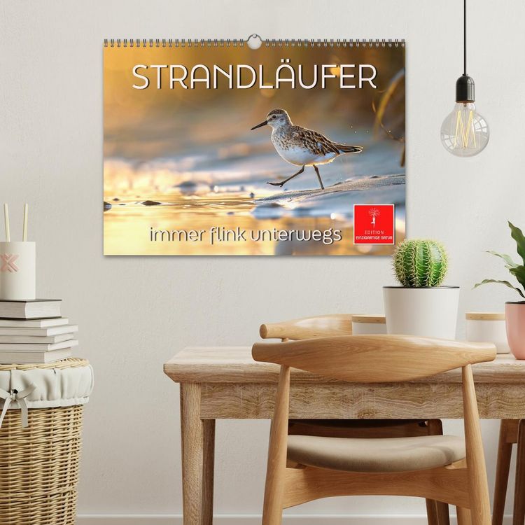 Produktbild: Strandl&auml;ufer - immer flink unterwegs (Wandkalender 2026 DIN A3 quer), CALVENDO Monatskalender