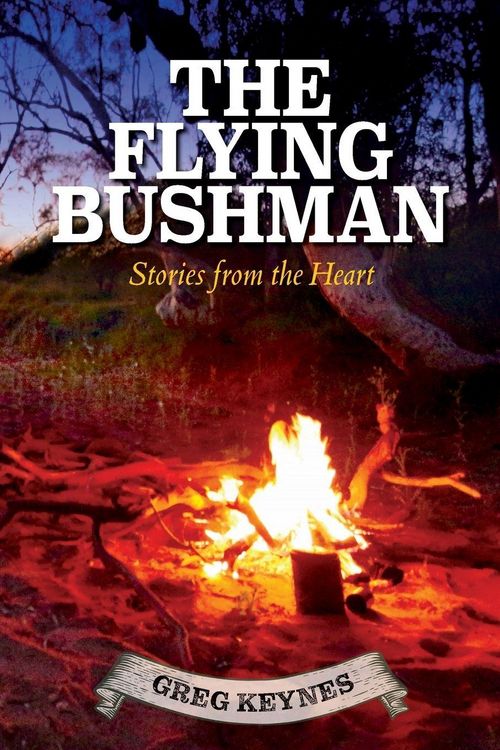 Produktbild: The Flying Bushman - Stories from the Heart