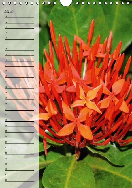 Produktbild: Blank, R: Fleurs tropicales / calendrier anniversaire (Calen