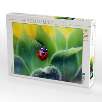 Produktbild: CALVENDO Puzzle Siebenpunkt-Marienk&auml;fer | 1000 Teile Lege-Gr&ouml;&szlig;e 64x48cm Foto-Puzzle f&uuml;r gl&uuml;ckliche Stunden