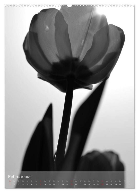 Produktbild: Monochrome Bl&uuml;ten - In Schwarz-Wei&szlig; Bildern durch das Jahr (hochwertiger Premium Wandkalender 2026 DIN A2 hoch), Kunstdruck in Hochglanz