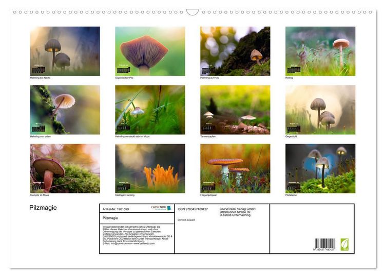 Produktbild: Pilzmagie (Wandkalender 2026 DIN A2 quer), CALVENDO Monatskalender