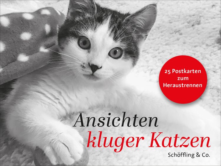 Produktbild: Ansichten kluger Katzen