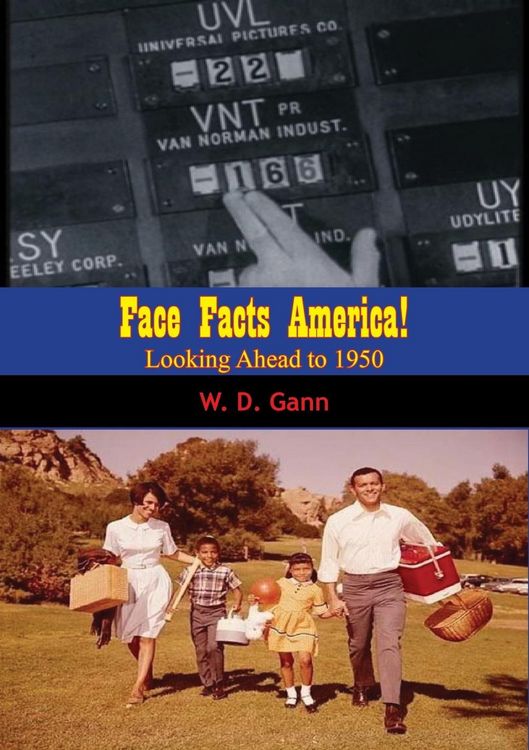 Produktbild: Face Facts America!