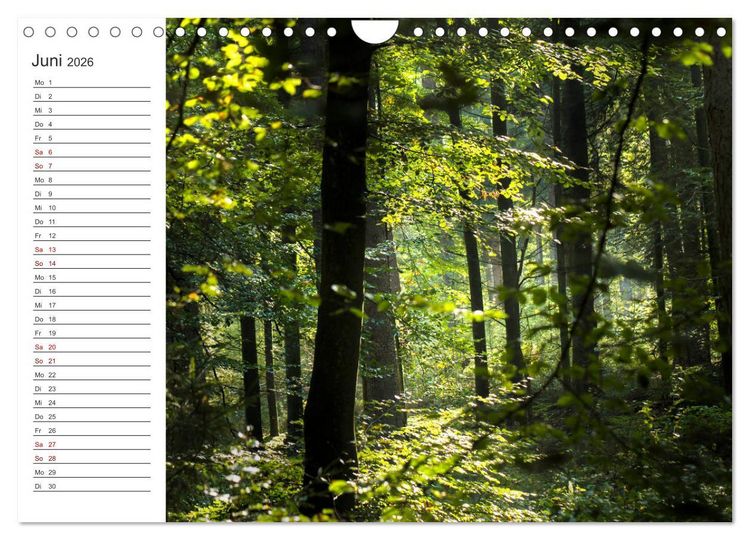 Produktbild: Worpswede - Natursch&ouml;nheiten im Teufelsmoor (Wandkalender 2026 DIN A4 quer), CALVENDO Monatskalender