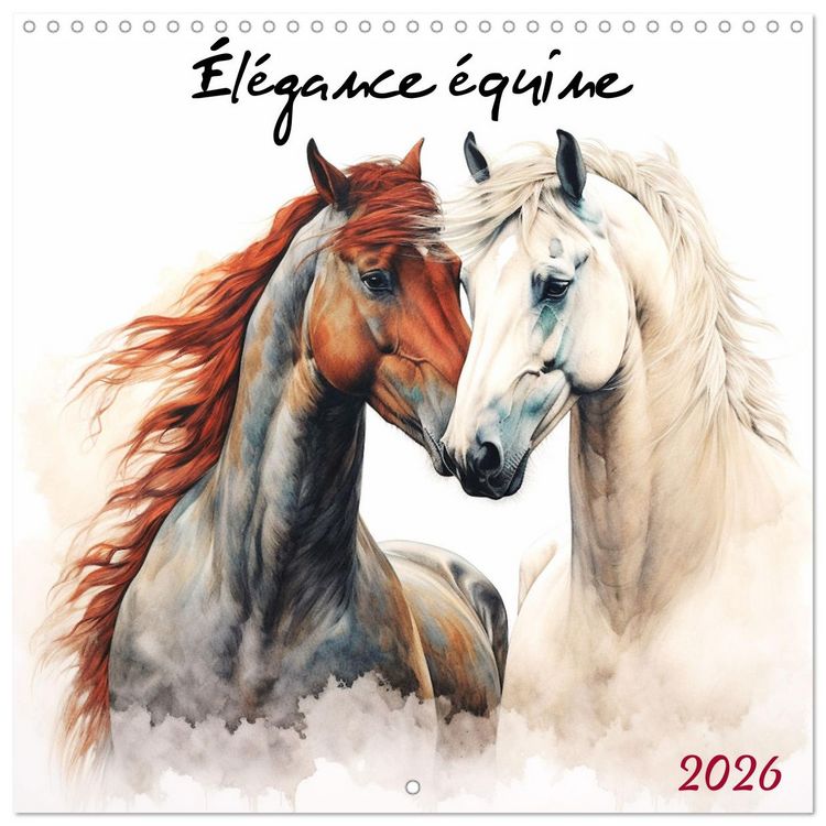 Produktbild: &Eacute;l&eacute;gance &eacute;quine (Calendrier mural carr&eacute; 2026 30x30 cm) Calendrier double avec une page pour vos prises de notes
