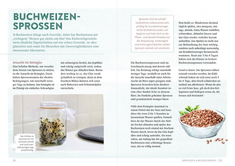 Produktbild: Endlich Mittagspause! Indoor-G&auml;rtnern zwischen Mails und Meetings mit Pfl&uuml;cksalat, Sprossen & Co.
