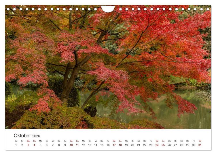 Produktbild: Japanischer Herbst und Laub (Wandkalender 2026 DIN A4 quer), CALVENDO Monatskalender
