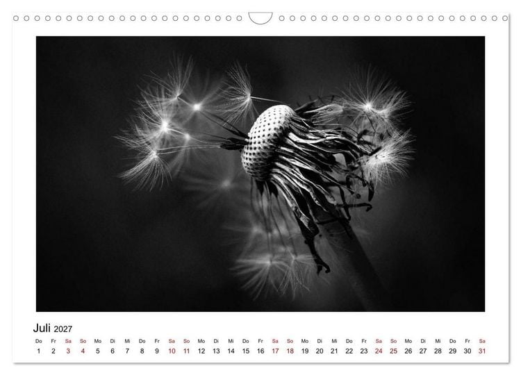 Produktbild: Die grafische Sch&ouml;nheit der Pflanzen &ndash; Schwarz-Wei&szlig; (Wandkalender 2027 DIN A3 quer), CALVENDO Monatskalender