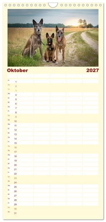 Produktbild: Familienplaner 2027 - Traumhund Malinois mit 5 Spalten (Wandkalender, 21 x 45 cm) CALVENDO