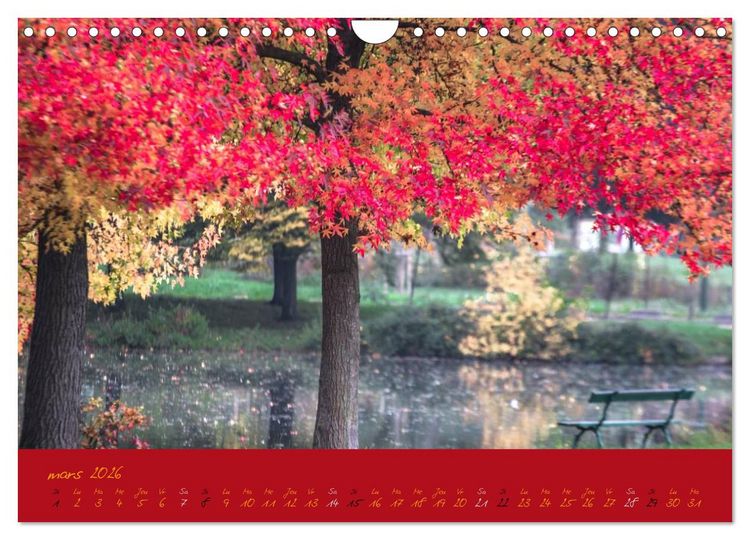 Produktbild: Un automne au Bois (Calendrier mural 2026 DIN A4 vertical), CALVENDO calendrier mensuel