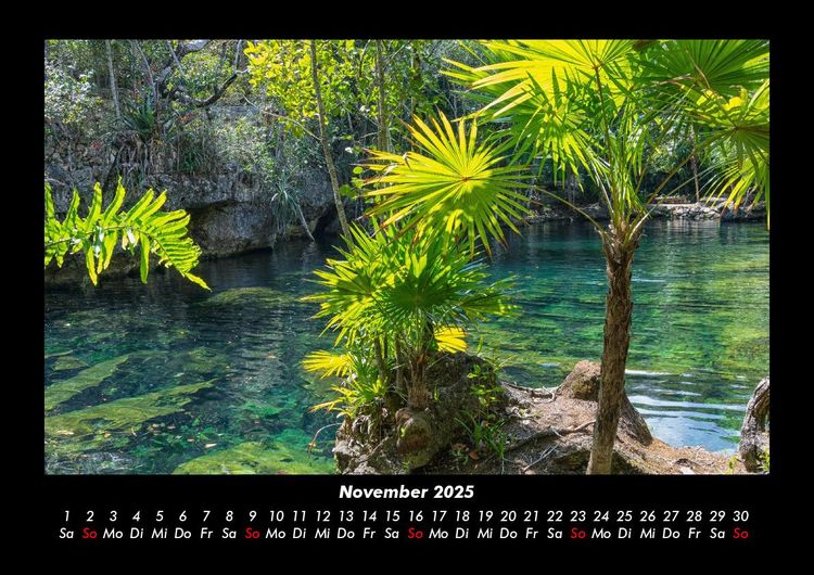 Produktbild: Palmentraum 2025 Fotokalender DIN A3