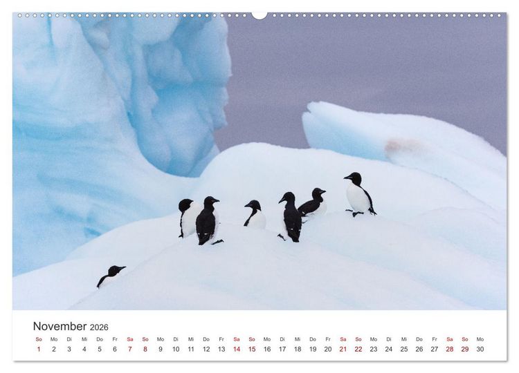 Produktbild: Naturparadies Svalbard (Wandkalender 2026 DIN A2 quer), CALVENDO Monatskalender