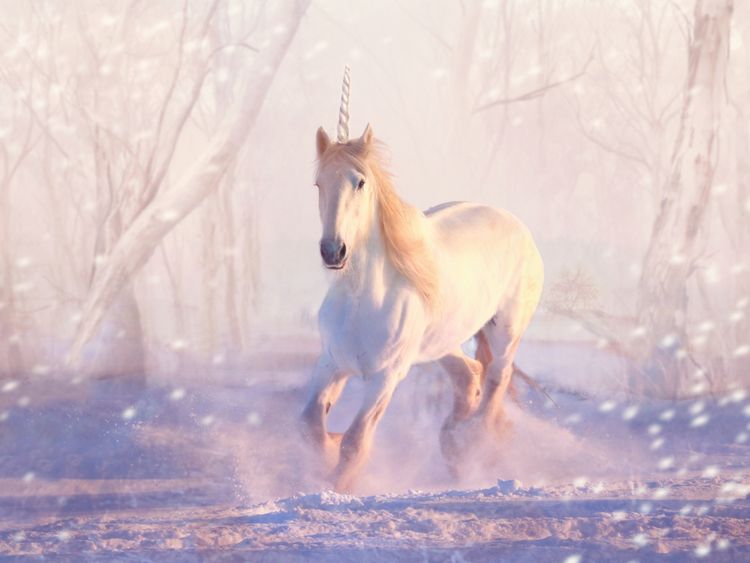 Produktbild: CALVENDO Puzzle Mein Einhorn | 1000 Teile Lege-Gr&ouml;&szlig;e 64x48cm Foto-Puzzle f&uuml;r gl&uuml;ckliche Stunden
