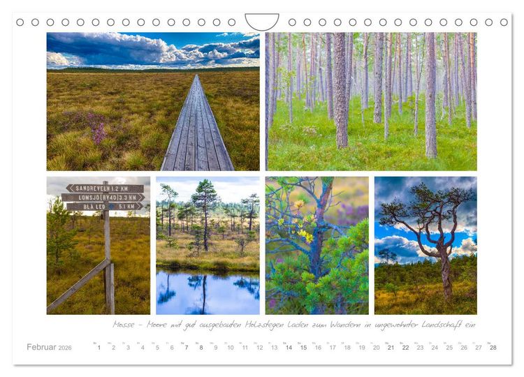 Produktbild: Sehnsucht Schweden - Elche, Natur und Urlaubstr&auml;ume (Wandkalender 2026 DIN A4 quer), CALVENDO Monatskalender