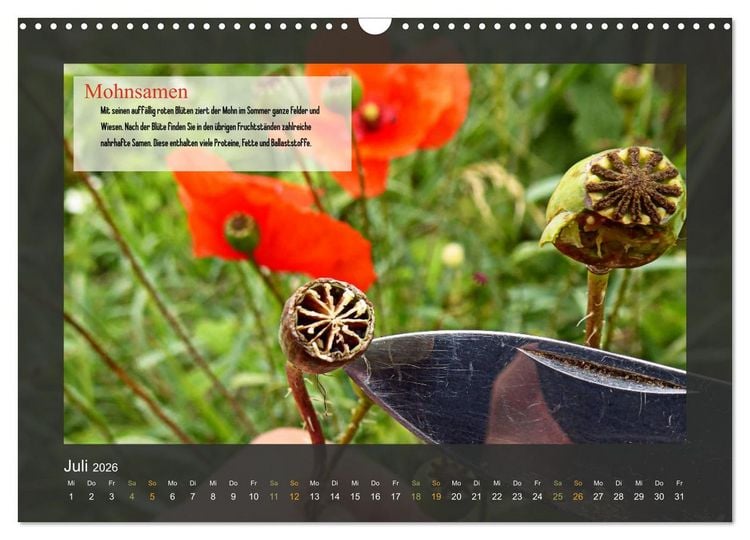 Produktbild: Outdoor-Survival-Kalender (Wandkalender 2026 DIN A3 quer), CALVENDO Monatskalender