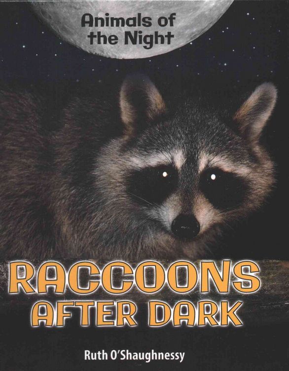Produktbild: Raccoons After Dark