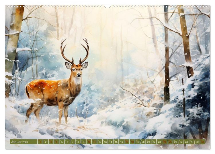 Produktbild: Zw&ouml;lf Monate im Wald (Wandkalender 2026 DIN A2 quer), CALVENDO Monatskalender