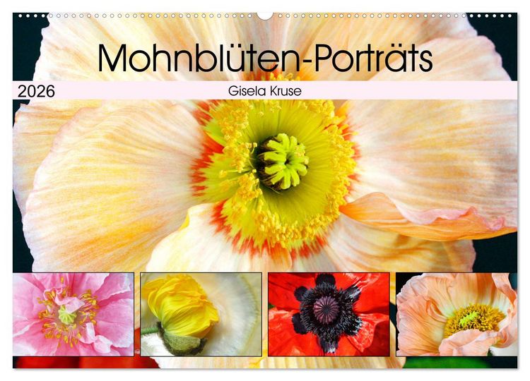 Produktbild: Mohnbl&uuml;ten-Portr&auml;ts (Wandkalender 2026 DIN A2 quer), CALVENDO Monatskalender