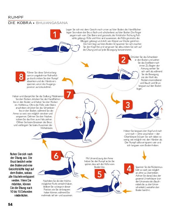 Produktbild: YOGA - Atlas der Anatomie