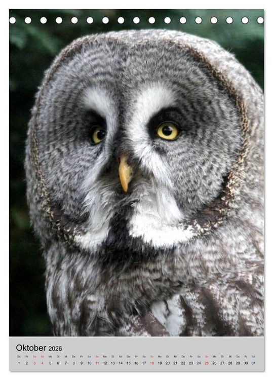 Produktbild: Raubv&ouml;gel - Die J&auml;ger der L&uuml;fte (Tischkalender 2026 DIN A5 hoch), CALVENDO Monatskalender