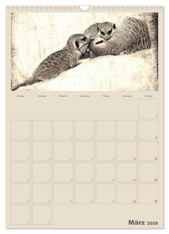 Produktbild: Lustige Erdm&auml;nnchen (Wandkalender 2026 DIN A3 hoch), CALVENDO Monatskalender