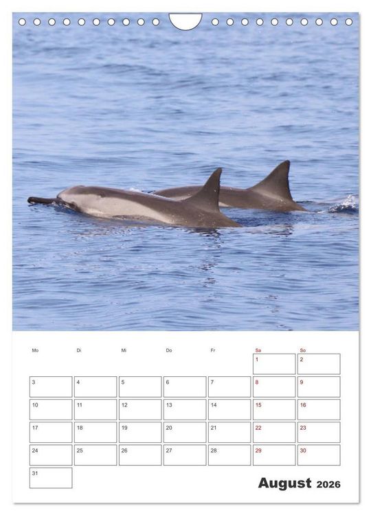 Produktbild: Hawaii - Reiseplaner (Wandkalender 2026 DIN A4 hoch), CALVENDO Monatskalender