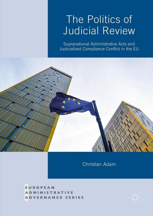 Produktbild: The Politics of Judicial Review