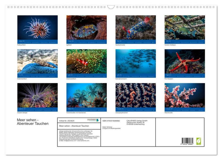 Produktbild: Meer sehen - Abenteuer Tauchen (Wandkalender 2026 DIN A2 quer), CALVENDO Monatskalender