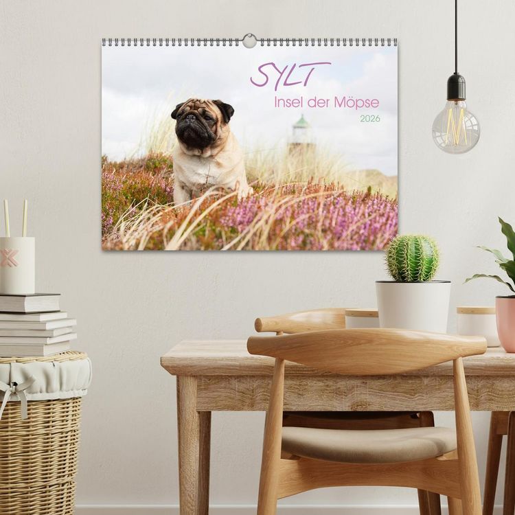 Produktbild: Sylt - Insel der M&ouml;pse (Wandkalender 2026 DIN A3 quer), CALVENDO Monatskalender