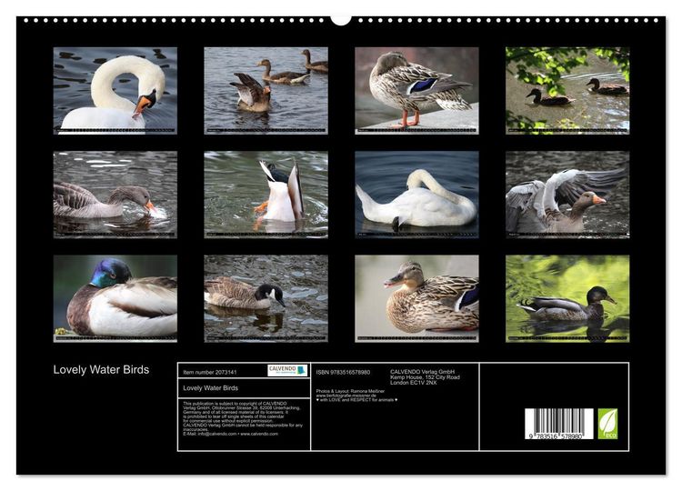Produktbild: Lovely Water Birds (High Quality Premium Wall Calendar 2026 DIN A2 landscape),CALVENDO 12 Month Wall Calendar