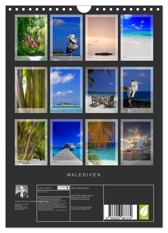 Produktbild: M A L E D I V E N (Wandkalender 2026 DIN A4 hoch), CALVENDO Monatskalender