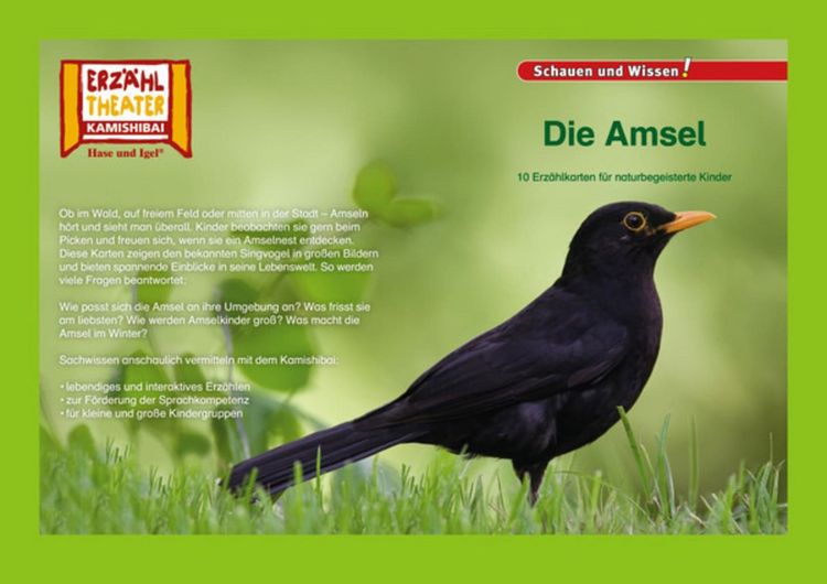 Produktbild: Die Amsel / Kamishibai Bildkarten