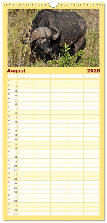 Produktbild: Familienplaner 2026 - S&uuml;dafrika - Big 5 und mehr mit 5 Spalten (Wandkalender, 21 x 45 cm) CALVENDO