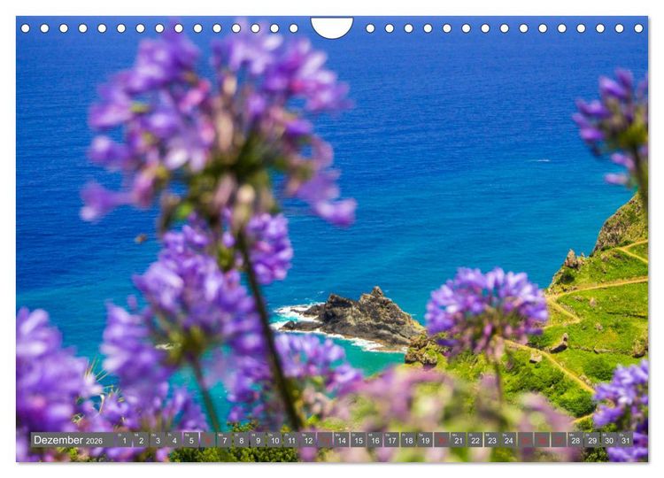 Produktbild: Madeira - Insel der Blumen 2026 (Wandkalender 2026 DIN A4 quer), CALVENDO Monatskalender