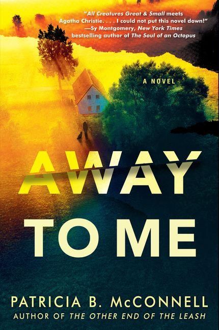 Produktbild: Away to Me