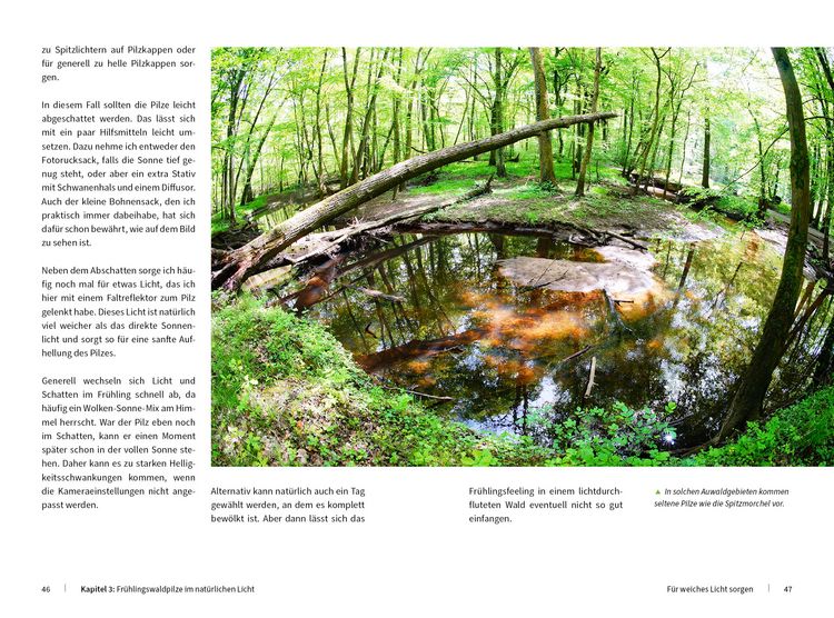 Produktbild: Pilzfotografie - Magische Momente inszenieren